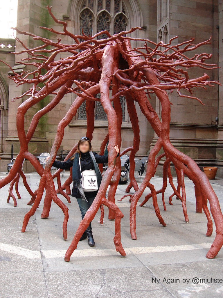 Roots