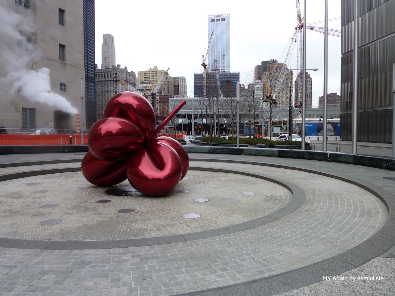 Balloon flower
