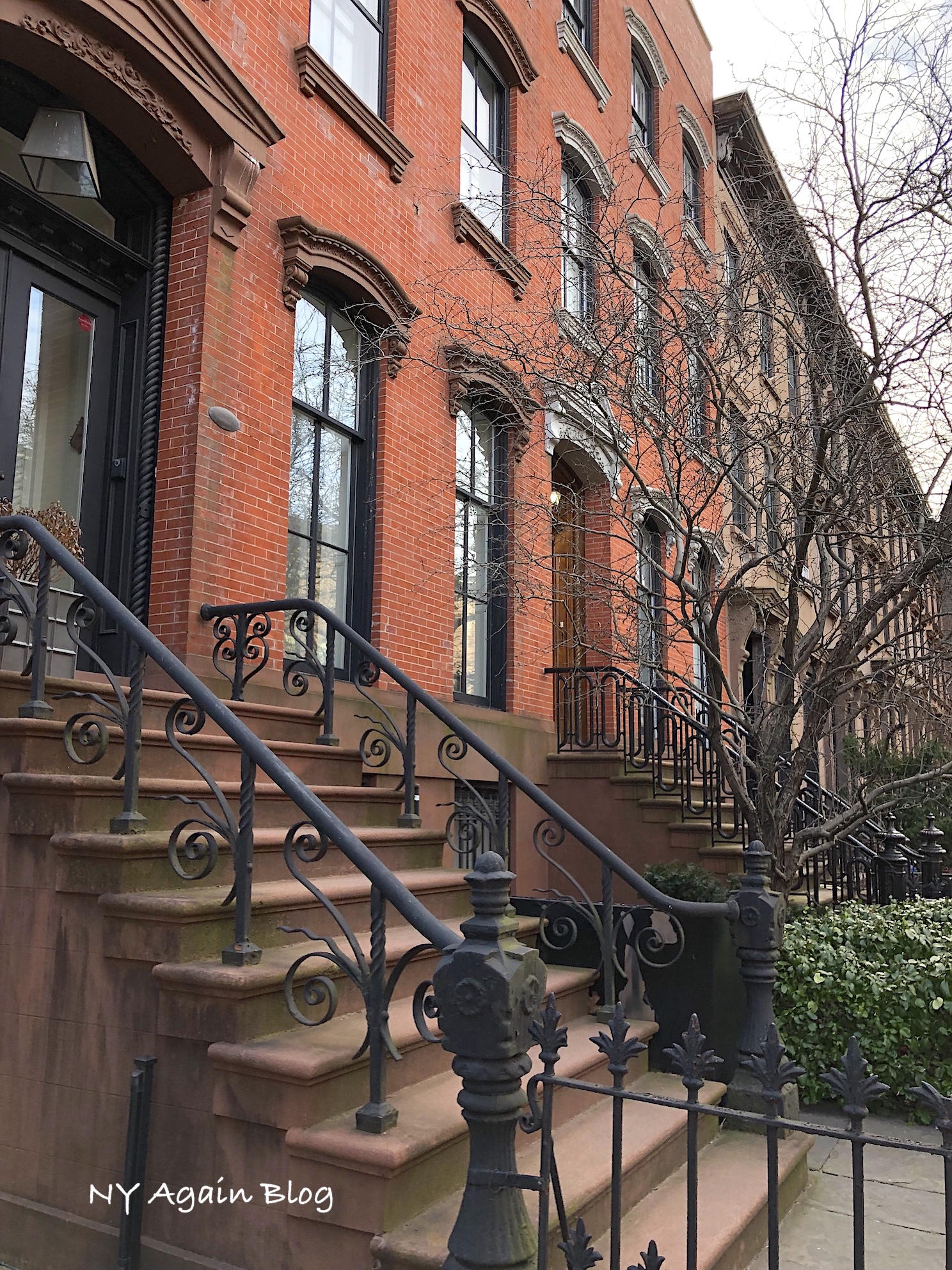 Paseo por Crown Heights, Carroll Gardens y Cobble Hills en Brooklyn